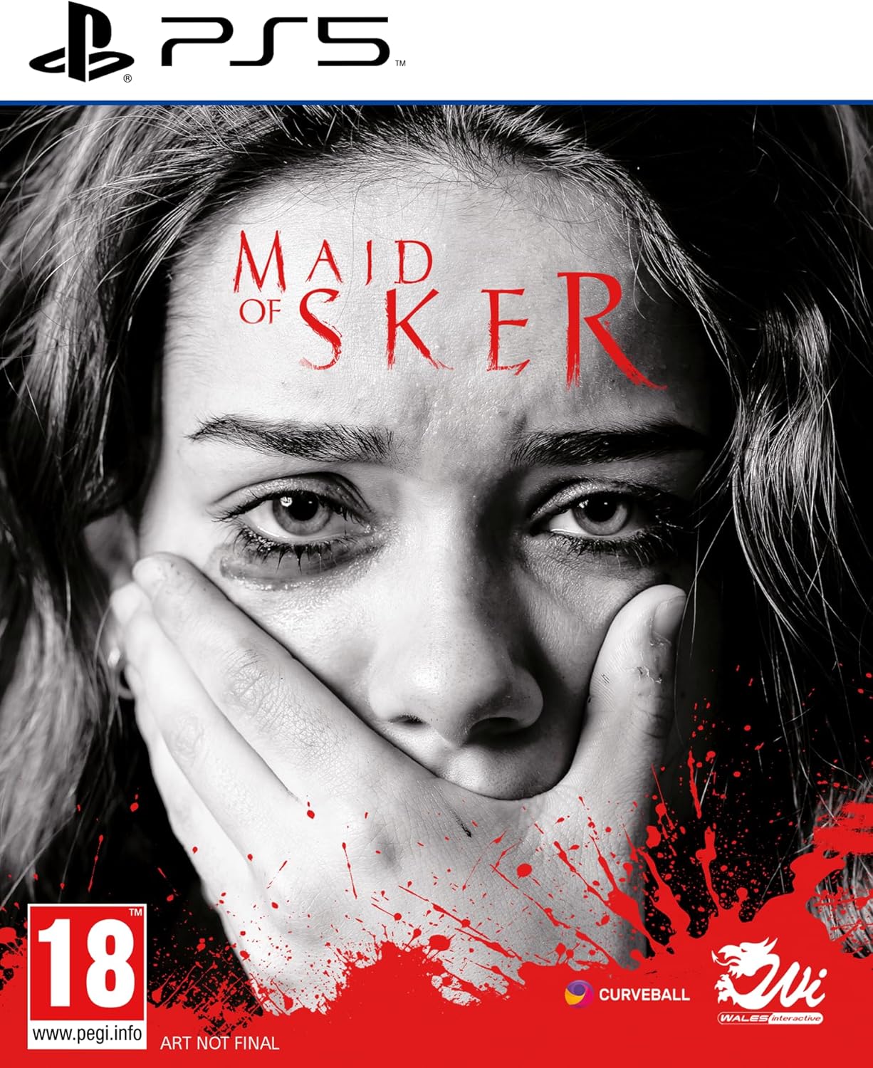 Maid of Sker PLAYSTATION 5