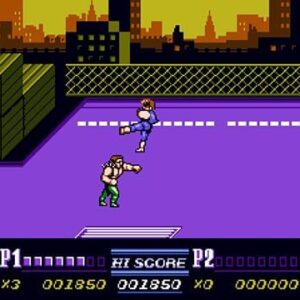 Double Dragon Collection SWITCH