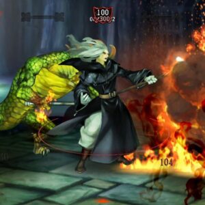 Dragons Crown PLAYSTATION 3 (Importación inglesa)