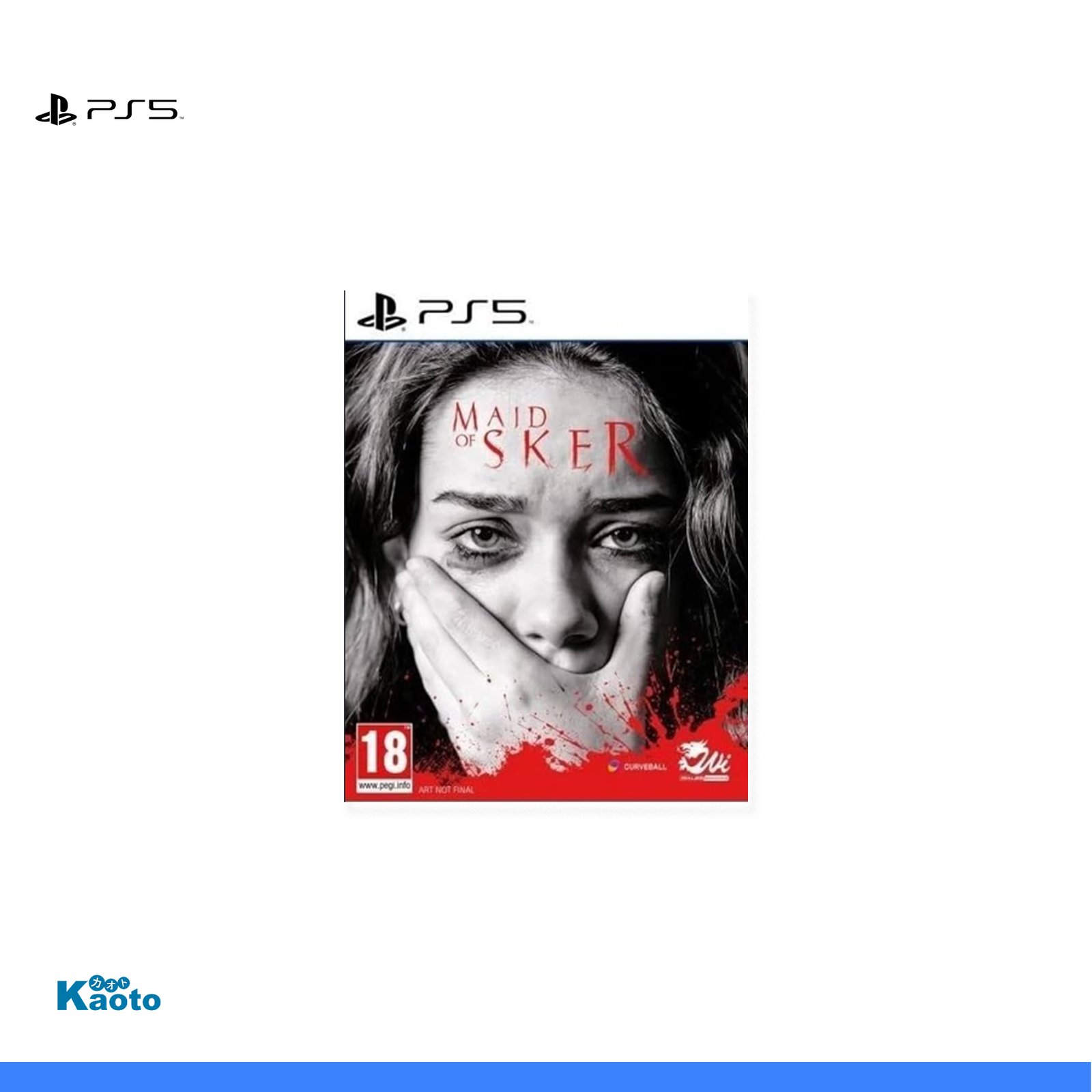 Maid of Sker PLAYSTATION 5