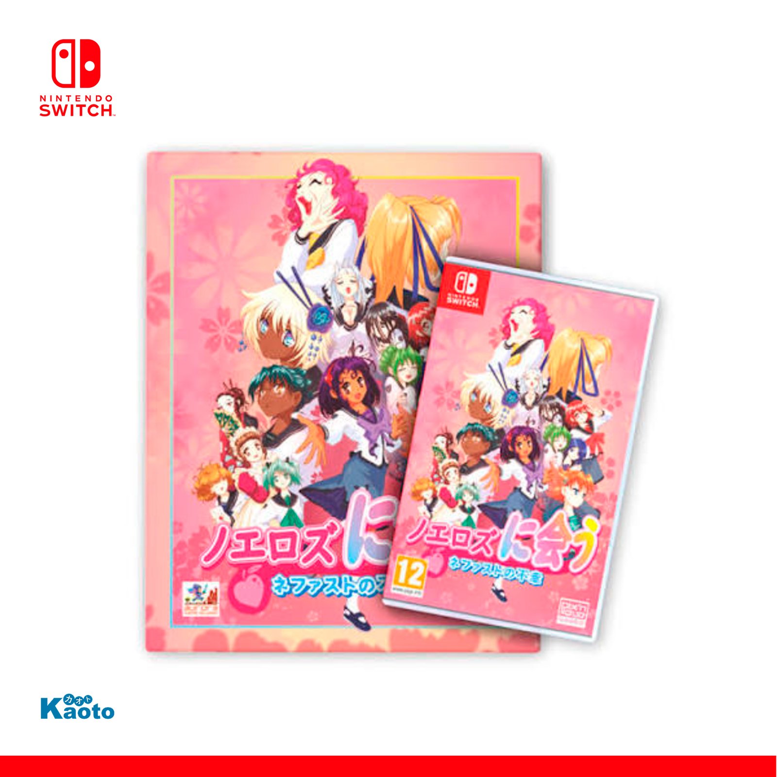 Nefasto Misadventure Retrollector's Edition SWITCH