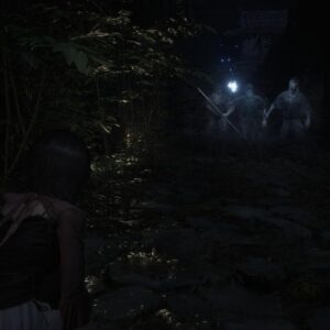 Fatal Frame II Crimson Butterfly Remake PLAYSTATION 5
