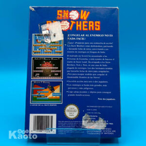Snow Brothers NINTENDO NES